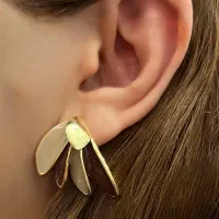 انواع گوشواره میناکاری و تمام نقره و پک|بدلیجات|تهران, ونک|دیوار