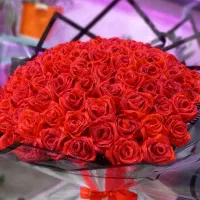 گل رز همه رنگه