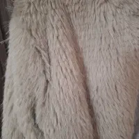 کت خز|لباس|کاشان, شهید زجاجی|دیوار