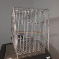 قفس پرنده سالم