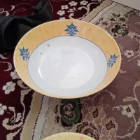 سرویس ملامین ۴۱ پارچ نو|ظروف سرو و پذیرایی|فسا, |دیوار