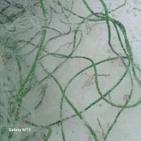 تور ماهیگری|ماهیگیری|آبادان, |دیوار