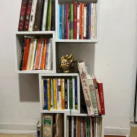 کتابخانه وتاح تخت|کتابخانه، شلف، قفسه‌های دیواری|بندرعباس, |دیوار