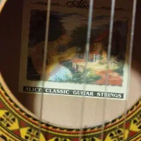 گیتار فروشی|گیتار، بیس، امپلیفایر|کرج, باغستان|دیوار