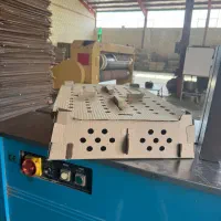 کارتن حمل جوجه یکروزه