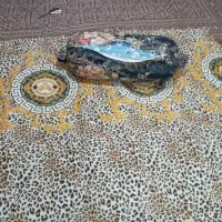 دوخت انواع بالش و سرویس آشپزخانه