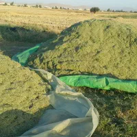 یونجه درجه یک خرمنکوب کیلو۳۰