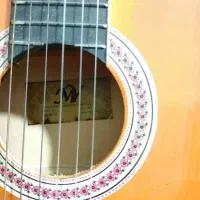 گیتار مدل MV در حد نو سالم و خوش صدا|گیتار، بیس، امپلیفایر|جهرم, |دیوار