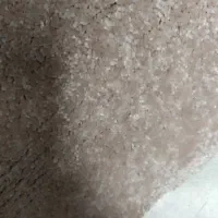 پالاز موکت