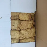 برگ زرد|عمدهفروشی|کاکی, |دیوار