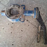 شیر پروانه ای