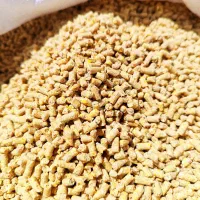 دان مرغ تخم گذار فله