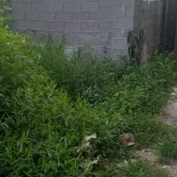 ۵۴۸متر زمین تماما مسکونی با ویلا نیمه کاره|فروش زمین و ملک کلنگی|ضیابر, |دیوار