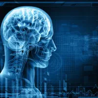 آموزش آنلاین ریاضی و فارسی