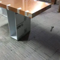 منشی و دستیار خانم