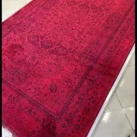 فرش ریـرا //با ضمانت کیفیت و بدون چک» ×|فرش|برازجان, |دیوار