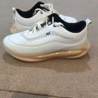 کفش اسپرت|کیف، کفش، کمربند|خوی, |دیوار