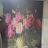 پرده زبرا