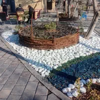 استخدام نیروی فضای سبز