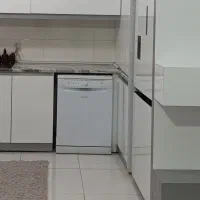 ظرفشویی درحدنو