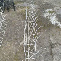 حفاظ شاخ گوزنی|مصالح و تجهیزات ساختمان|کیاشهر, |دیوار