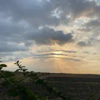 فروش زمین کشاورزی ۴۵۰۰ متری