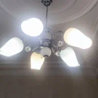 لوستر شیک
