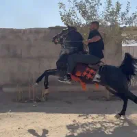 جهت کشش فروشی نیست