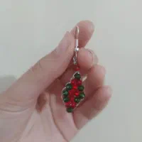 گوشواره وپنس یلدا|بدلیجات|میان جلگه, |دیوار