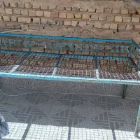تخت