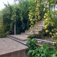 باغبان بسیار ماهر به گلخانه داری و امور باغ|استخدام صنعتی، فنی، مهندسی|تهران, حکیمیه|دیوار