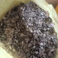 کود کبوتر گوسفندی گاوی