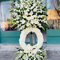 تاجگل طبیعی|گل و گیاه طبیعی|یزد, |دیوار