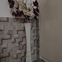 گل شقایق