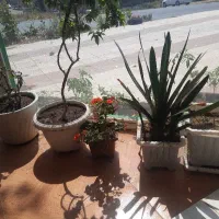 رهن واجاره مغازه فاز ۳ شهرک شیخ شهاب الدین اهز