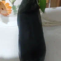 بوت چرم راحت و در حد نو سایز ۳۹ و ۴۰|کیف، کفش، کمربند|تهران, شهرک گلها (تهرانسر)|دیوار