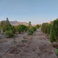 باغ چهار دیواری فنس|فروش خانه و ویلا|اصفهان, گورت|دیوار