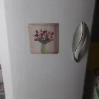 یخچال تمام فریزر امرسان