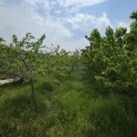 باغ ویلا ۱۰۰۰ متری سند دار در کلاکوب