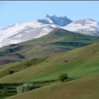نقاش ساختمان خورده کار ی در تمام نقاط تهران