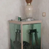 آکواریوم ۶ میل