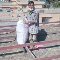 ریتق کود سن م کبوتر  کود واسه باغ