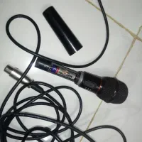 میکروفن هم بیسیم هم کابلی هستش|سیستم صوتی خانگی|بجنورد, |دیوار