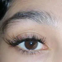 مژه