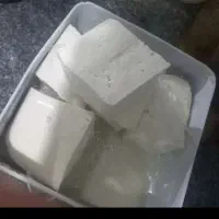 پنیر محلی(لاکتیکی)(پرچک پنیر)|خوردنی و آشامیدنی|دشتابی, |دیوار