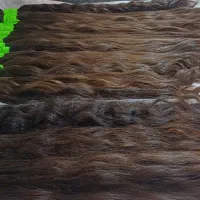 خریدار اصلی موهای طبیعی