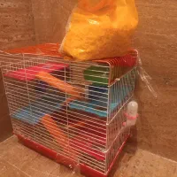 یک جفت همستر با قفس۵۰۰