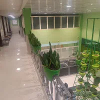 ویزیت رایگان پزشک عمومی با سابقه 25 سال در مطب|فعالیت داوطلبانه|مشهد, الهیه|دیوار