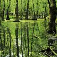 تور یک روزه بلوان