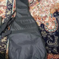 کیس ، کیف گیتار الکترونیک